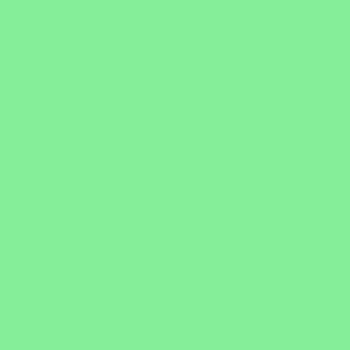 OTR.4001 BULLET POCKET PAINT green pastel