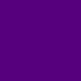 OTR.160 PAINT MARKER Mini violet