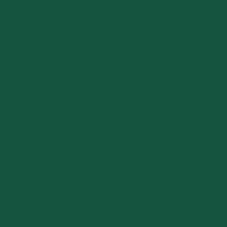 OTR.160 PAINT MARKER Mini chrome green