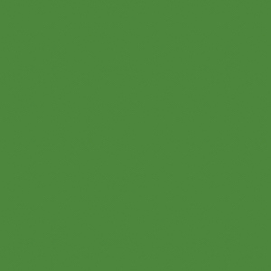 OTR.084 CALLIGRAFFITI FLOWPEN Marker grass green
